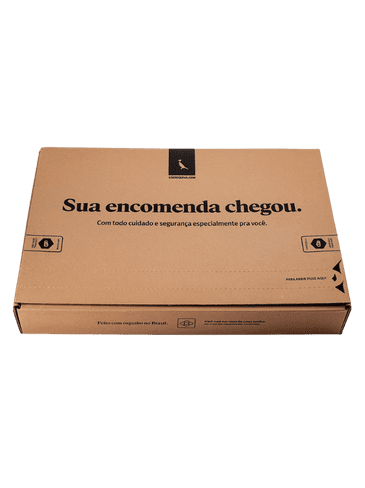 Caixa de Papelão Ecommerce e Transporte