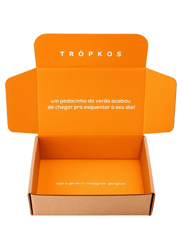 Caixa de Papelão Ecommerce e Transporte